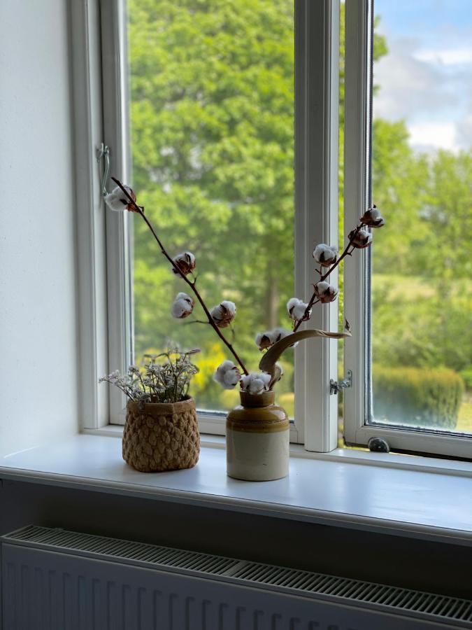 Ferienwohnung Dobbelt Vaerelse Carlsminde Stenstrup Exterior foto
